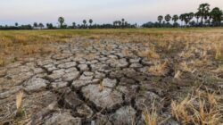 Godzilla El Nino Hantam RI Mulai April 2026, Kemarau Lebih Panjang dan Kering