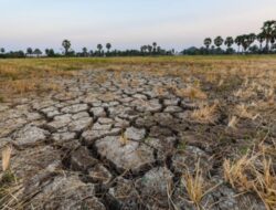 Godzilla El Nino Hantam RI Mulai April 2026, Kemarau Lebih Panjang dan Kering
