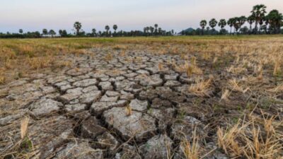 Godzilla El Nino Hantam RI Mulai April 2026, Kemarau Lebih Panjang dan Kering