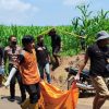 Mayat di Kebun Jagung Jombang Diduga Warga Mojokerto