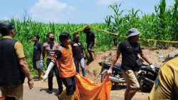 Mayat di Kebun Jagung Jombang Diduga Warga Mojokerto