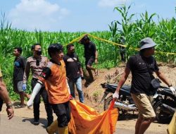 Mayat di Kebun Jagung Jombang Diduga Warga Mojokerto