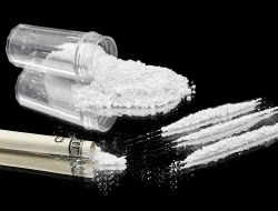 Polisi Selidiki Temuan 23 Paket Kokain Seharga Ratusan Miliar di Pantai Sumenep