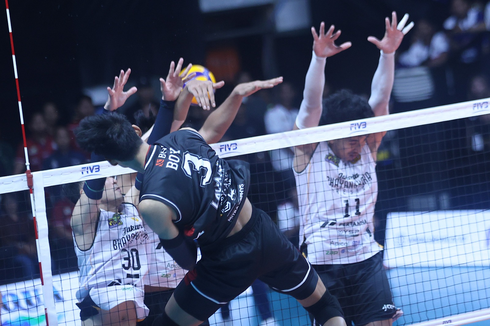 Final Four Proliga 2026: LavAni Juara Putaran Pertama, Tumbangkan Juara Bertahan