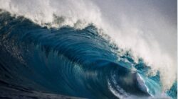 Tsunami Terjadi di 5 Wilayah akibat Gempa M 7,6 Sulut