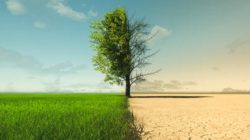 April Sudah Kemarau tapi Masih Sering Hujan, Ini Penjelasan BMKG