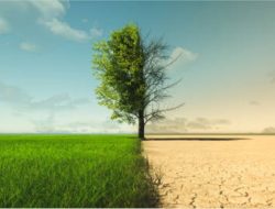 April Sudah Kemarau tapi Masih Sering Hujan, Ini Penjelasan BMKG