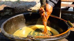 Harga Minyak Kembali Meroket setelah Selat Hormuz Ditutup Lagi