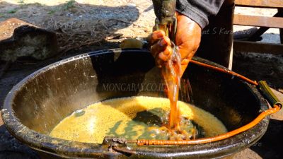 Harga Minyak Kembali Meroket setelah Selat Hormuz Ditutup Lagi