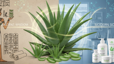 Keajaiban Lidah Buaya: Dari Tibbun Nabawi Hingga Sains Modern