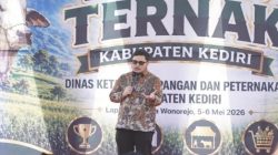 Kontes Sapi Kediri Didorong Jadi Agenda Tahunan Bergengsi