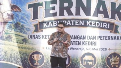 Kontes Sapi Kediri Didorong Jadi Agenda Tahunan Bergengsi