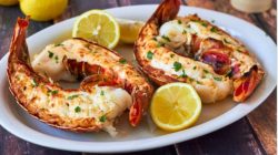 Lobster Tersiksa jika Direbus Hidup-Hidup, Cara Lain Terus Dikaji