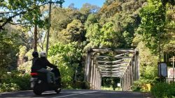 Dilema Jembatan Cangar: Menghalau Maut di Jalur Wisata Viral Jatim