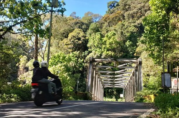 Dilema Jembatan Cangar: Menghalau Maut di Jalur Wisata Viral Jatim
