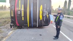 Bus Terguling di Tol Jombang-Mojokerto, Ini Kondisi Penumpang