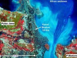 Rahasia Geologi Madura: Dari Laut Purba Hingga Ladang Migas Nasional