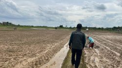 Pemprov Kaltim Imbau Petani Siapkan Cadangan Air Hadapi Kemarau