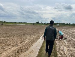 Pemprov Kaltim Imbau Petani Siapkan Cadangan Air Hadapi Kemarau