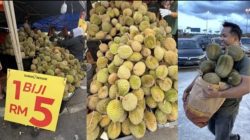 Musim Panen Bikin Harga Durian Malaysia Terjun Bebas, Musang King Ikut Murah
