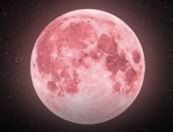 Purnama Langka Strawberry Moon Muncul di Indonesia, Ini Waktu Terbaik Menyaksikannya