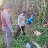 Bayi Perempuan Ditemukan Tewas Dalam Kardus di Kebun Tebu Malang