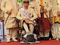 PDIP Kritik Jokowi Injak Kepala Kerbau di Lampung