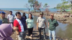 Sidak DPRD Situbondo: Hentikan Proyek PT Kaixin Rusak Mangrove Tanpa Izin