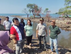 Sidak DPRD Situbondo: Hentikan Proyek PT Kaixin Rusak Mangrove Tanpa Izin