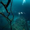 Fenomena “Sungai Bawah Laut” di Meksiko dan Penjelasannya dalam Al-Qur’an