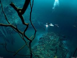 Fenomena “Sungai Bawah Laut” di Meksiko dan Penjelasannya dalam Al-Qur’an