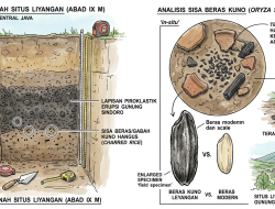 Misteri Lumbung Beras Liyangan di Bawah Abu Sindoro
