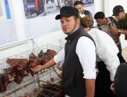 Rumah Produksi Pakan Ternak Berdiri di Kukar, Rudy Mas’ud Pacu Kemandirian Pangan Kalimantan Timur