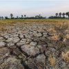 BMKG: El Nino Masih Aktif, Jawa Timur Masuk Wilayah Rawan Kekeringa