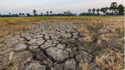 BMKG: El Nino Masih Aktif, Jawa Timur Masuk Wilayah Rawan Kekeringa