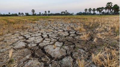 BMKG: El Nino Masih Aktif, Jawa Timur Masuk Wilayah Rawan Kekeringa