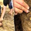 Cincin Emas 2.000 Tahun di Thailand Ungkap Jejak Perdagangan India