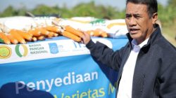 Kementan Borong Benih Jagung Hibrida ITS Rp10 M, Pacu Swasembada Pangan Tanpa Tambah Lahan