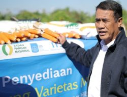 Kementan Borong Benih Jagung Hibrida ITS Rp10 M, Pacu Swasembada Pangan Tanpa Tambah Lahan
