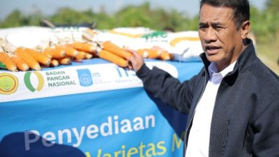 Kementan Borong Benih Jagung Hibrida ITS Rp10 M, Pacu Swasembada Pangan Tanpa Tambah Lahan