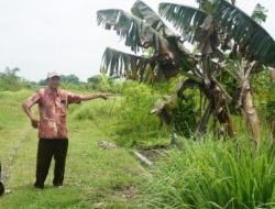 Tersangka Bos Developer Farza Indo: Tipu 17 Korban Kavling Rp 2,8 M