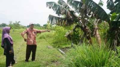 Tersangka Bos Developer Farza Indo: Tipu 17 Korban Kavling Rp 2,8 M