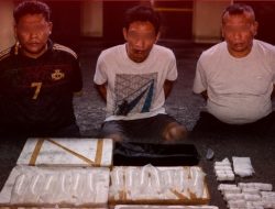 Polresta Banyuwangi Gagalkan Penyelundupan 23 Ribu Benih Lobster