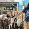 Viral Mirip Yesus, Faiq Alkatiri Pertahankan Niat