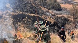 Wisata Bromo Dibuka Lagi, Kebakaran Lalap 1.120 Hektare Lahan