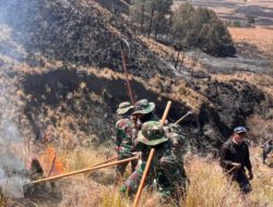 Wisata Bromo Dibuka Lagi, Kebakaran Lalap 1.120 Hektare Lahan