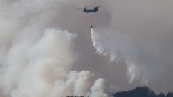 Jepang Kerahkan Helikopter Bantu Tangani Kebakaran Hutan Kalimantan
