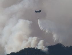 Jepang Kerahkan Helikopter Bantu Tangani Kebakaran Hutan Kalimantan