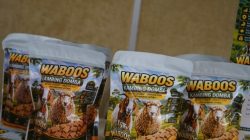 Wafer Herbal Waboos, Inovasi Mahasiswa Dongkrak Produktivitas Ternak