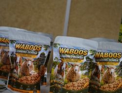 Wafer Herbal Waboos, Inovasi Mahasiswa Dongkrak Produktivitas Ternak